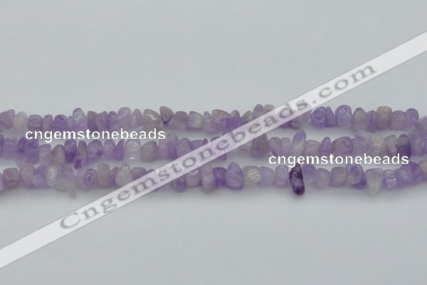 CCH648 15.5 inches 8*12mm - 10*14mm lavender amethyst chips beads