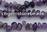 CCH649 15.5 inches 4*6mm - 5*8mm amethyst gemstone chips beads