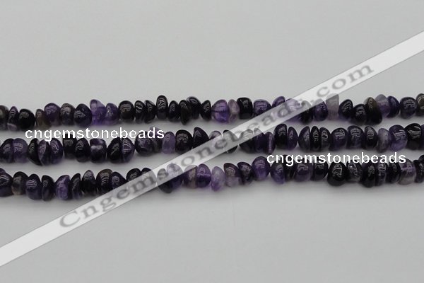 CCH650 15.5 inches 4*6mm - 5*8mm amethyst gemstone chips beads