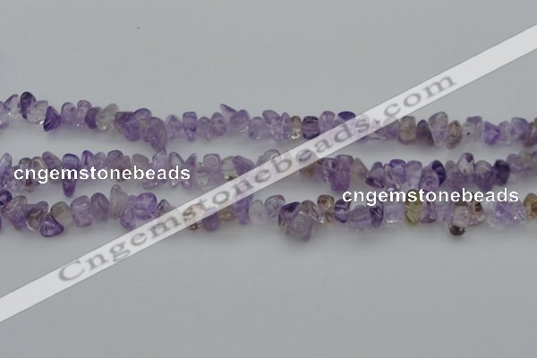 CCH652 15.5 inches 8*12mm - 10*14mm ametrine gemstone chips beads