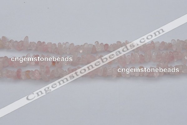 CCH653 15.5 inches 5*8mm - 6*10mm rose quartz chips beads