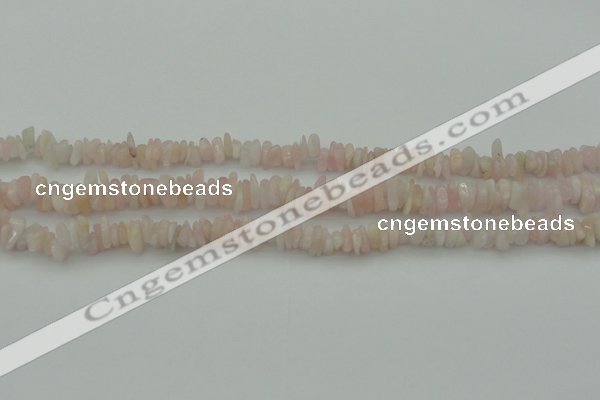 CCH656 15.5 inches 5*8mm - 6*10mm morganite gemstone chips beads