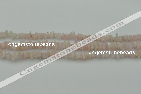 CCH656 15.5 inches 5*8mm - 6*10mm morganite gemstone chips beads