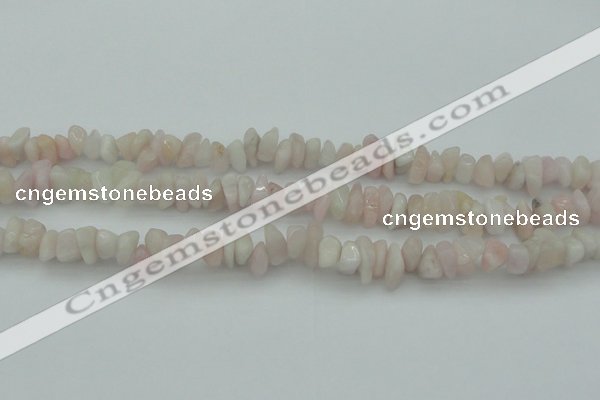 CCH657 15.5 inches 8*12mm - 10*14mm morganite gemstone chips beads