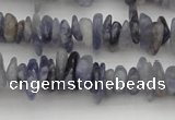 CCH658 15.5 inches 4*6mm - 5*8mm iolite gemstone chips beads