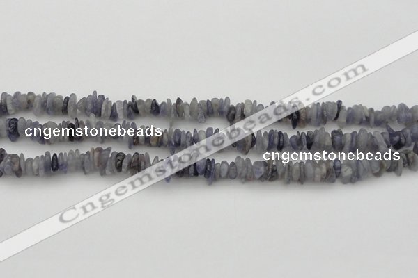 CCH658 15.5 inches 4*6mm - 5*8mm iolite gemstone chips beads