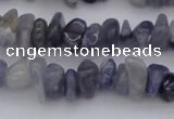 CCH659 15.5 inches 5*8mm - 6*10mm iolite gemstone chips beads