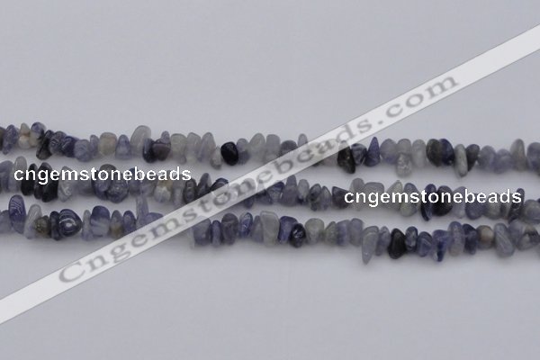 CCH659 15.5 inches 5*8mm - 6*10mm iolite gemstone chips beads