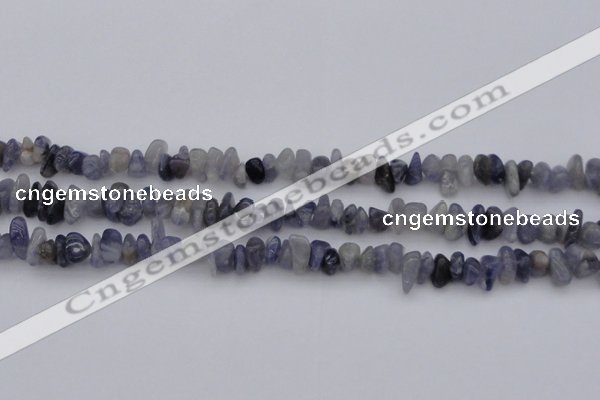 CCH659 15.5 inches 5*8mm - 6*10mm iolite gemstone chips beads