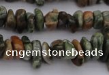 CCH662 15.5 inches 5*8mm - 6*10mm rhyolite gemstone chips beads