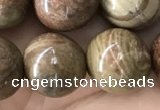 CCJ475 15.5 inches 14mm round rainbow jasper beads wholesale