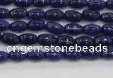 CCN4522 15.5 inches 4*6mm rice candy jade beads wholesale