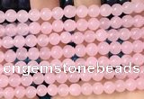 CCN6161 15.5 inches 6mm round candy jade beads Wholesale