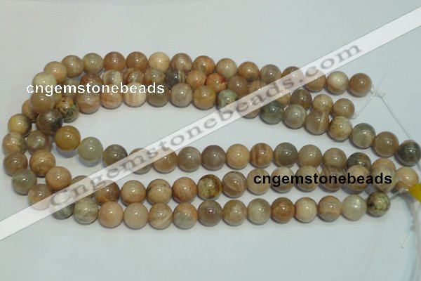 CCS305 15.5 inches 12mm round natural sunstone beads wholesale