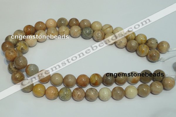 CCS306 15.5 inches 14mm round natural sunstone beads wholesale