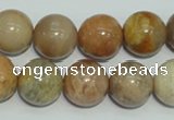 CCS307 15.5 inches 16mm round natural sunstone beads wholesale