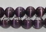 CCT1300 15 inches 5.5mm round cats eye beads wholesale