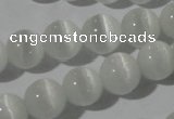 CCT1320 15 inches 6mm round cats eye beads wholesale