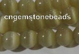 CCT1329 15 inches 6mm round cats eye beads wholesale