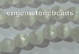 CCT351 15 inches 6mm faceted round cats eye beads wholesale