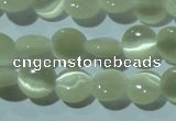 CCT450 15 inches 6mm flat round cats eye beads wholesale