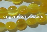 CCT455 15 inches 6mm flat round cats eye beads wholesale