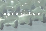 CCT860 15 inches 10mm star cats eye beads wholesale