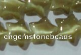 CCT866 15 inches 10mm star cats eye beads wholesale