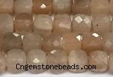 CCU1013 15 inches 4mm faceted cube sunstone beads