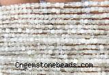 CCU1629 15 inches 2.5mm faceted cube white moonstone beads