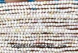 CCU1718 15 inches 2.5mm faceted cube pink queen conch shell beads