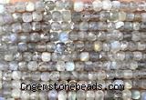 CCU1837 15 inches 4mm faceted cube labradorite gemstone beads