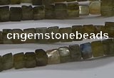 CCU311 15.5 inches 4*4mm cube labradorite beads wholesale