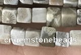 CCU458 15.5 inches 4*4mm cube fossil coral beads wholesale