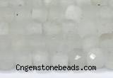 CCU830 15 inches 4mm faceted cube white moonstone beads