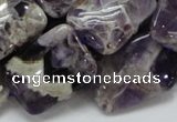 CDA06 15.5 inches 18*25mm rectangle dogtooth amethyst quartz beads