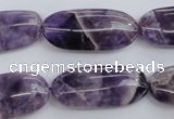 CDA35 15.5 inches 13*28mm oval dogtooth amethyst beads