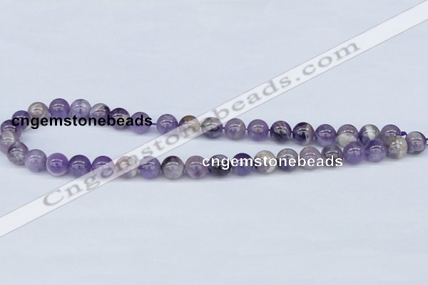 CDA53 15.5 inches 10mm round dogtooth amethyst beads wholesale