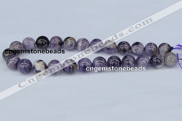 CDA56 15.5 inches 16mm round dogtooth amethyst beads wholesale