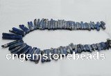 CDE1515 Top drilled 5*15mm - 6*55mm sticks sea sediment jasper beads