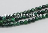 CDE68 15.5 inches 4mm round dyed sea sediment jasper beads