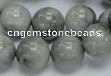 CEE06 15.5 inches 16mm round eagle eye jasper beads wholesale