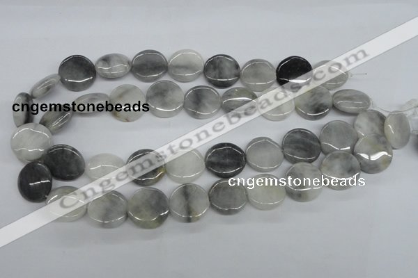 CEE203 15.5 inches 20mm flat round eagle eye jasper beads