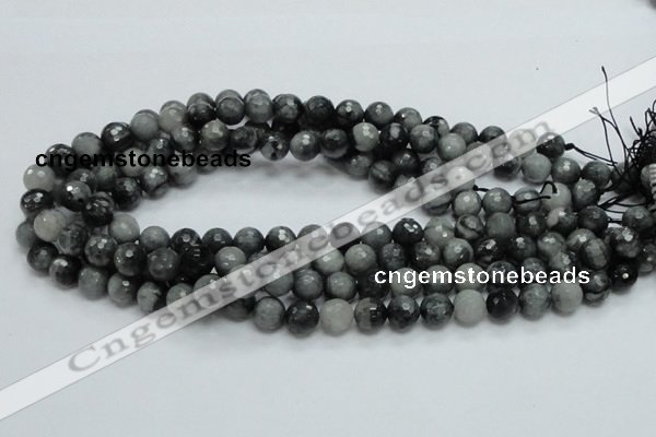 CEE21 15.5 inches 10mm faceted round eagle eye jasper beads wholesale