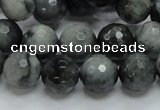 CEE22 15.5 inches 12mm faceted round eagle eye jasper beads wholesale