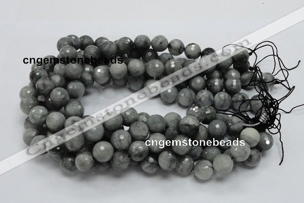 CEE23 15.5 inches 14mm faceted round eagle eye jasper beads wholesale