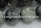 CEE25 15.5 inches 20mm faceted round eagle eye jasper beads wholesale