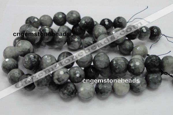 CEE25 15.5 inches 20mm faceted round eagle eye jasper beads wholesale