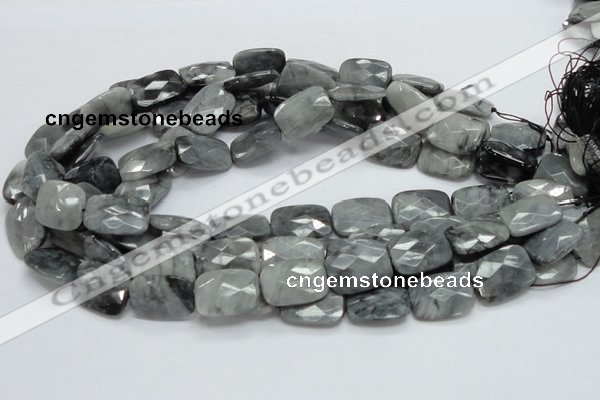 CEE34 15.5 inches 15*20mm faceted rectangle eagle eye jasper beads