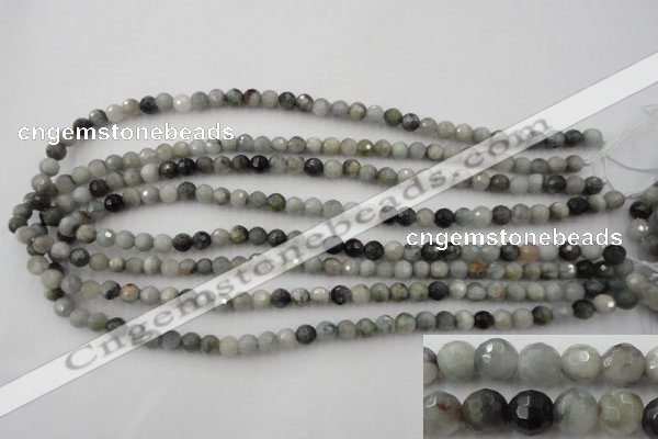 CEE351 15.5 inches 6mm faceted round eagle eye jasper beads